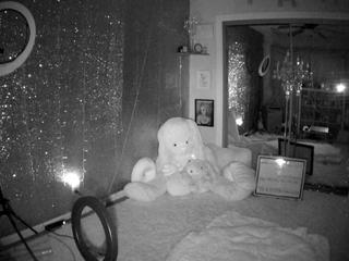 Marilyn Jane’s Bedroom naked Live Sex Chat Room