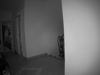 voyeurcam-julmodels-hall-1st naked Live Sex Chat Room
