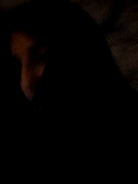 Samia_Lust naked stripping on cam for live sex video chat