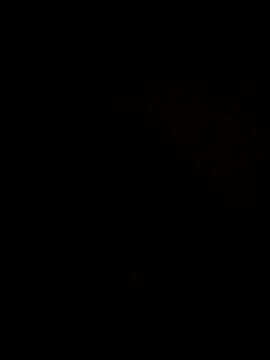 rk8035521 naked stripping on cam for live sex video chat