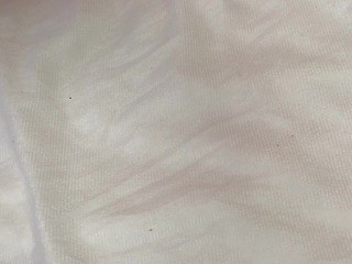 LessyNorton naked Live Sex Chat Room