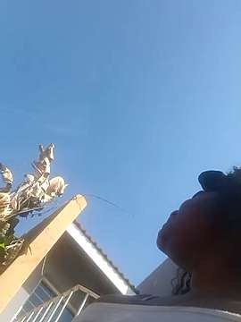 HornyPussy81 naked stripping on cam for live sex video chat