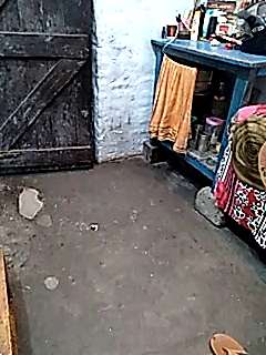 Hoti_sexybhavi naked stripping on cam for live sex video chat