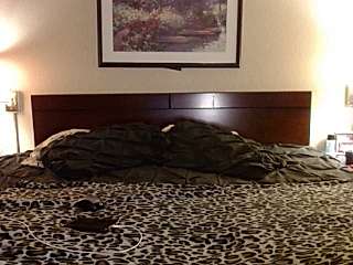AshleyCa1995 naked stripping on cam for live sex video chat