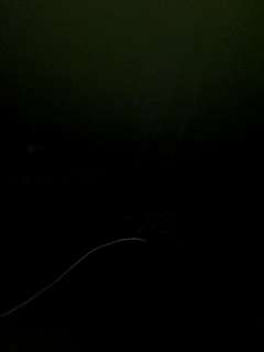 Chevygurl naked stripping on cam for live sex video chat