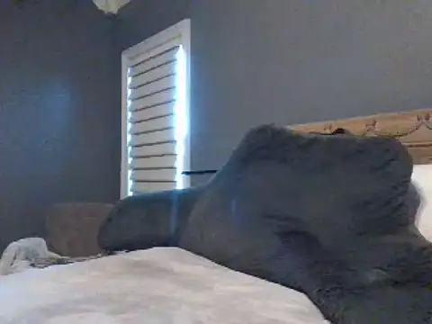 Lisaisluscious naked strip on cam for live sex video chat
